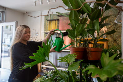 Vattnar blommor i sin butik